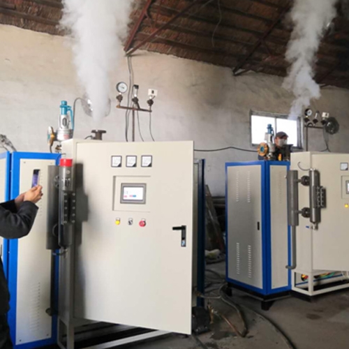 免报检电蒸汽发生器